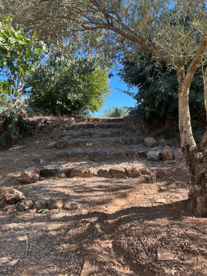 Villa La Casita De Campo à Cordoue Extérieur photo